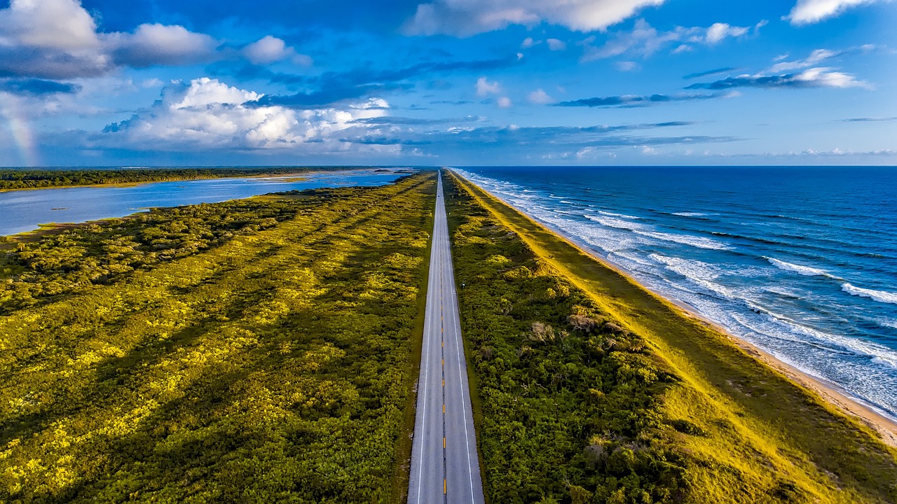 Discovering the Unique Flora of the Florida Everglades